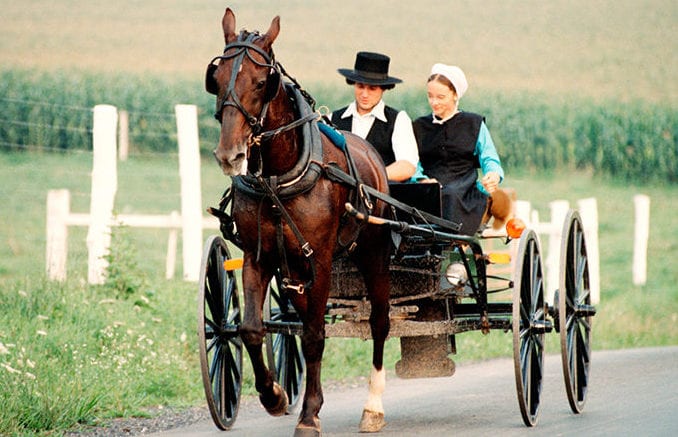 Amish dating